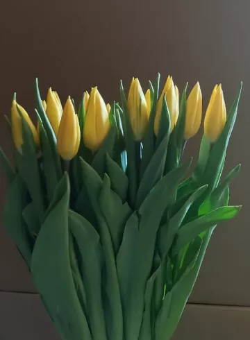 &laquo;Тюльпан желтый&raquo; от интернет-магазина цветов в 