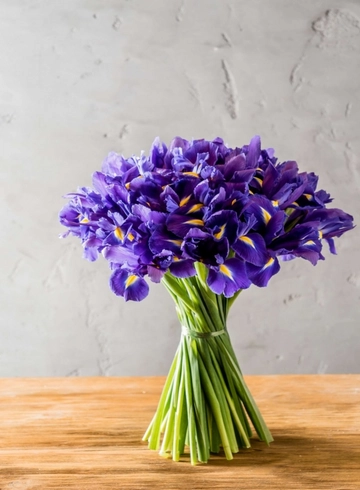 Ирис от интернет-магазина цветов в 