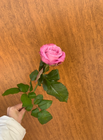 Роза “Miritim” от интернет-магазина цветов в 